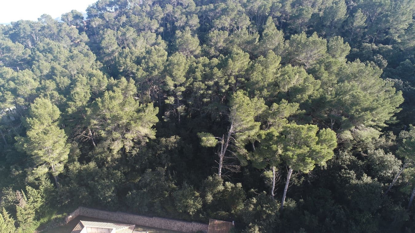 4 slaapkamer Villa te koop in Pollensa / Pollenca met zwembad garage - € 3.025.000 (Ref: 9528126)