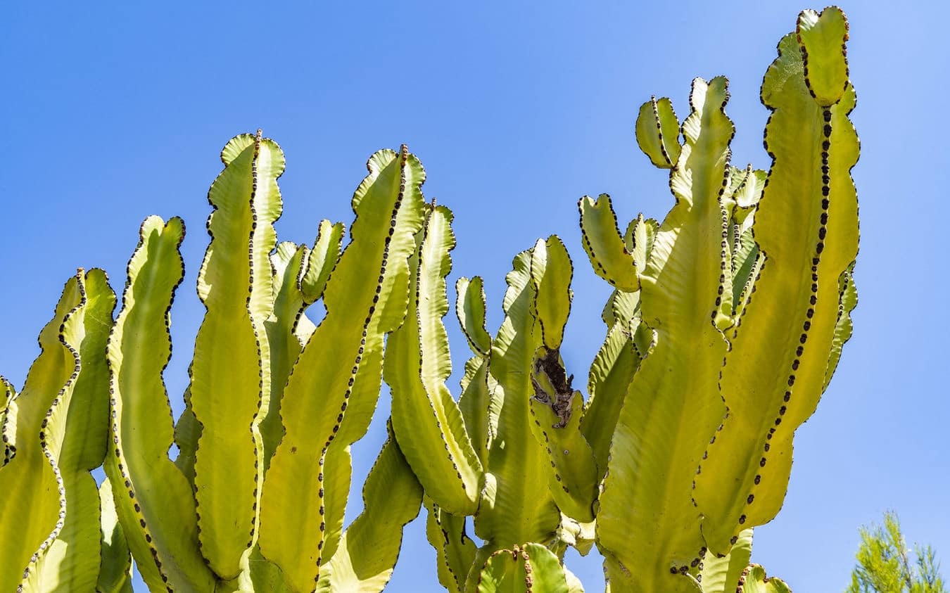 2 sypialnia Penthouse na sprzedaż w Santa Ponsa z basenem garażem - 1 890 000 € (Ref: 9528134)