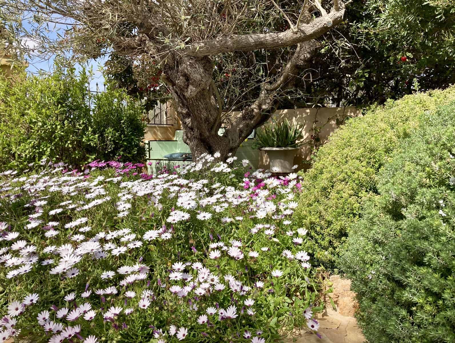 Casa de 3 habitaciones en Cala Llombards en venta con garaje - 375.000 € (Ref: 9528135)