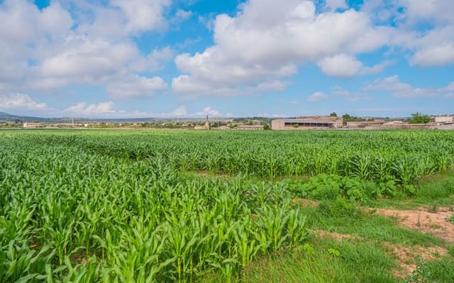 5 soveværelse Finca/Landehus til salg i Son Gual, Palma de Mallorca med garage - € 3.000.000 (Ref: 9528880)