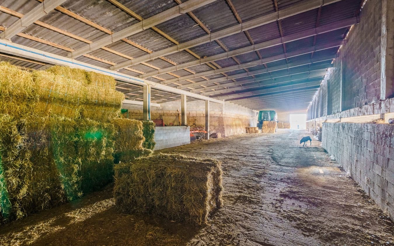 5 soveværelse Finca/Landehus til salg i Son Gual med garage - € 3.000.000 (Ref: 9528880)