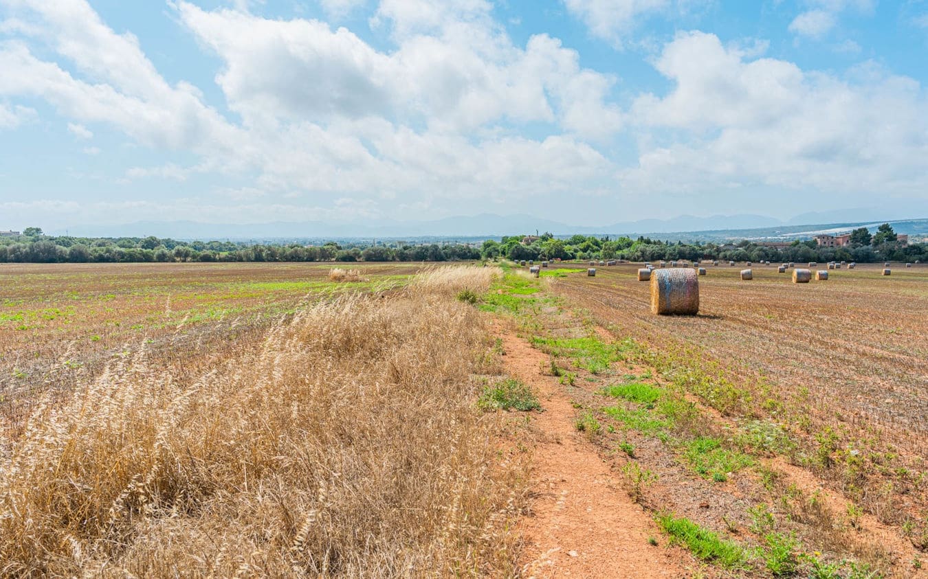 Landgrundstück zu verkaufen in Son Gual - 3.000.000 € (Ref: 9528881)