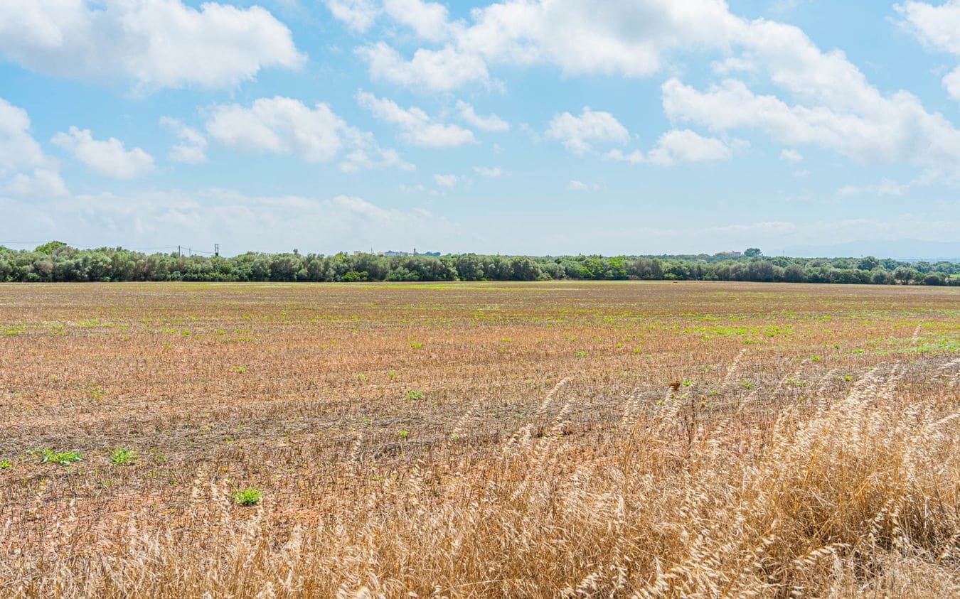 Landgrundstück zu verkaufen in Son Gual - 3.000.000 € (Ref: 9528881)