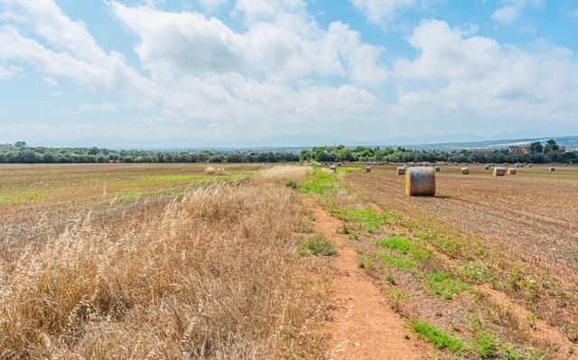 Landgrundstück zu verkaufen in Son Gual, Palma de Mallorca - 3.000.000 € (Ref: 9528881)