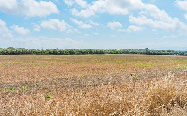 Landgrundstück zu verkaufen in Son Gual, Palma de Mallorca - 3.000.000 € (Ref: 9528881)