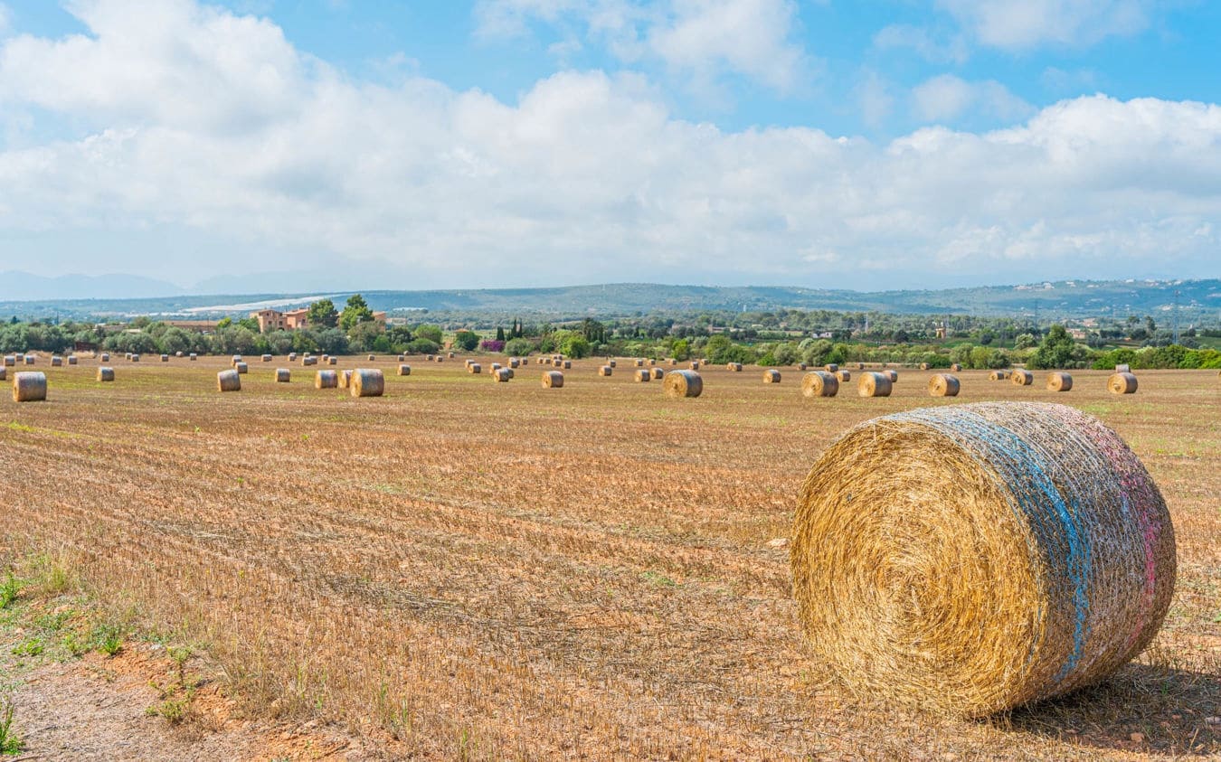 Landgrundstück zu verkaufen in Son Gual - 3.000.000 € (Ref: 9528881)