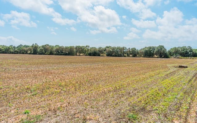 Landgrundstück zu verkaufen in Son Gual, Palma de Mallorca - 3.000.000 € (Ref: 9528881)