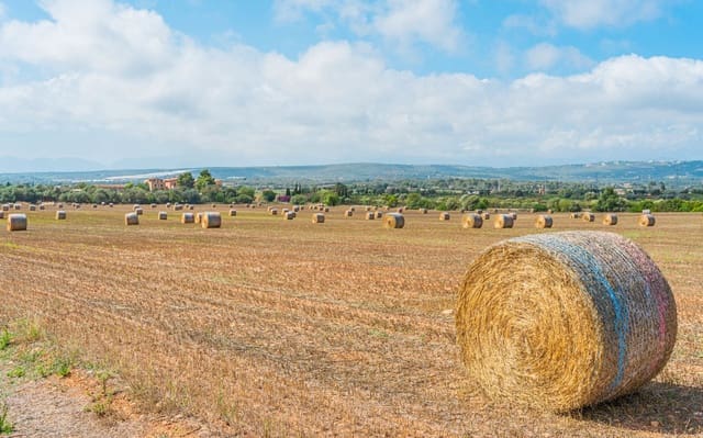 Landgrundstück zu verkaufen in Son Gual, Palma de Mallorca - 3.000.000 € (Ref: 9528881)