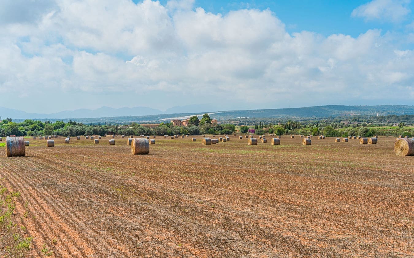 Mark till salu i Son Gual - 3 000 000 € (Ref: 9528881)