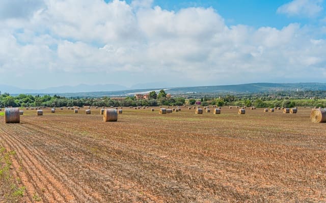 Grond te koop in Son Gual, Palma de Mallorca - € 3.000.000 (Ref: 9528881)