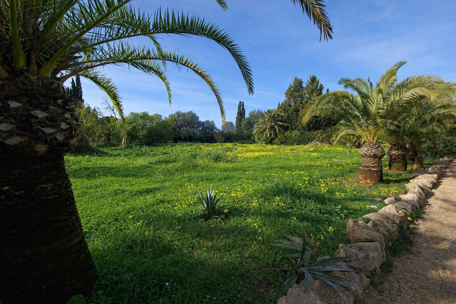 4 soveværelse Finca/Landehus til salg i Llucmajor med swimmingpool garage - € 1.650.000 (Ref: 9532835)