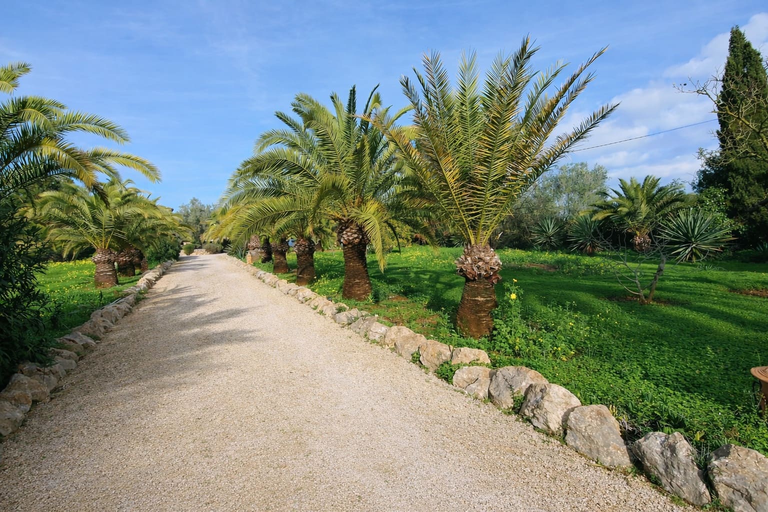 4 soveværelse Finca/Landehus til salg i Llucmajor med swimmingpool garage - € 1.650.000 (Ref: 9532835)