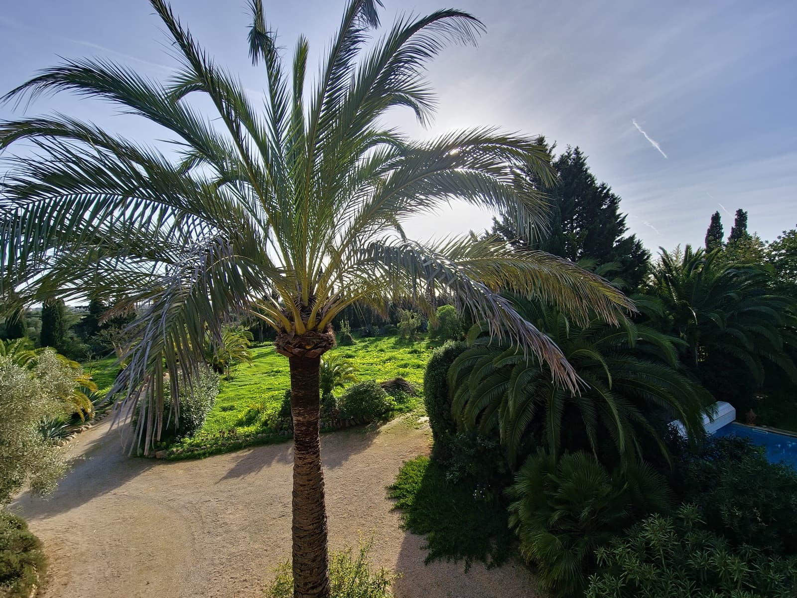 4 soveværelse Finca/Landehus til salg i Llucmajor med swimmingpool garage - € 1.650.000 (Ref: 9532835)