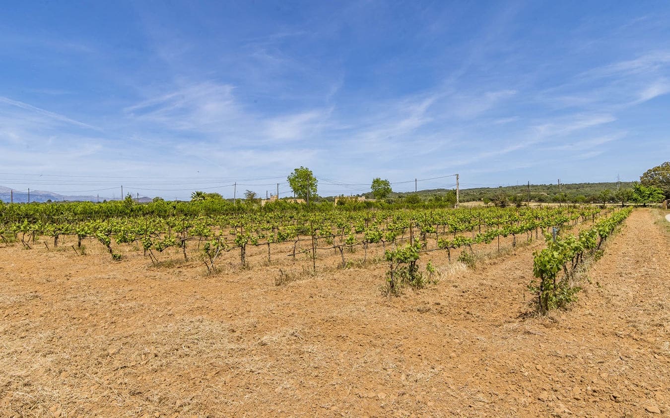 3 soverom Finca/Herregård til salgs i Sencelles med svømmebasseng garasje - € 895 000 (Ref: 9534932)