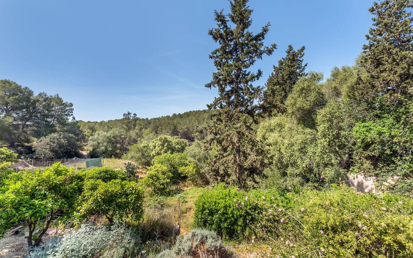 Terreno/Finca Rústica en Palma de Mallorca en venta - 345.000 € (Ref: 9534941)