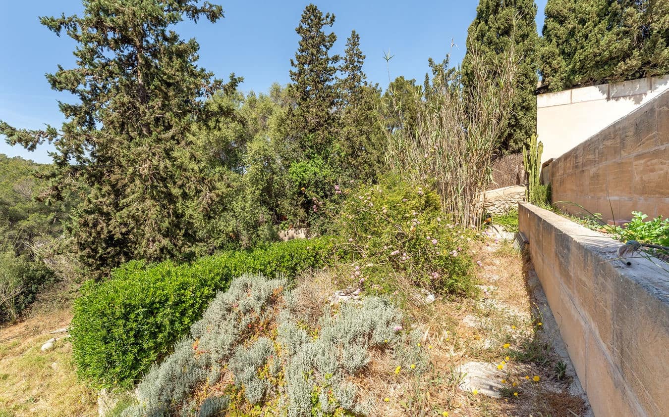 Terreno/Finca Rústica en Palma de Mallorca en venta - 345.000 € (Ref: 9534941)