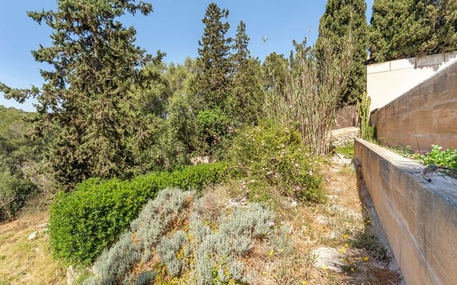 Terreno/Finca Rústica en Son Rapinya, Palma de Mallorca en venta - 345.000 € (Ref: 9534941)
