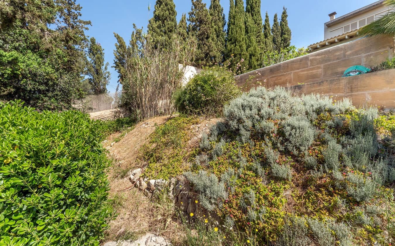Terreno/Finca Rústica en Palma de Mallorca en venta - 345.000 € (Ref: 9534941)
