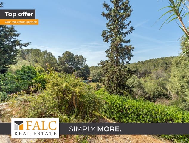 Terreno/Finca Rústica en Son Rapinya, Palma de Mallorca en venta - 345.000 € (Ref: 9534941)