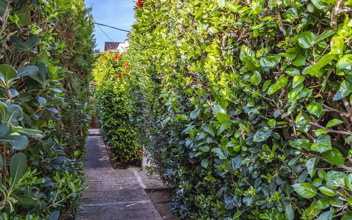 4 slaapkamer Appartement te koop in Puerto de Andratx met zwembad - € 1.395.000 (Ref: 9538898)