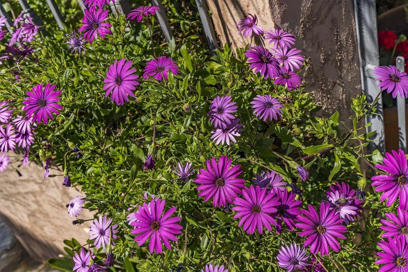 Casa de 3 habitaciones en Esporles en venta con garaje - 690.000 € (Ref: 9566558)