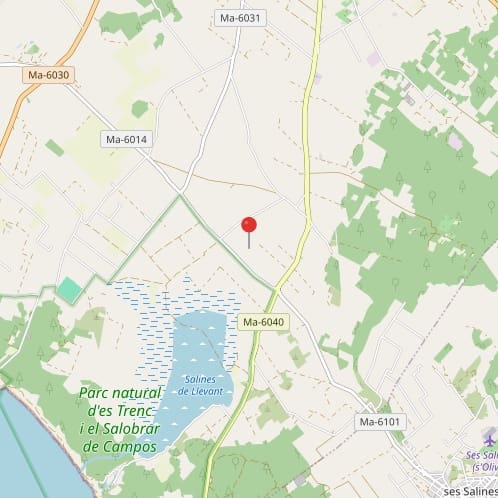 4 bedroom Finca/Country House for sale in Sineu with pool garage - € 2,400,000 (Ref: 9569426)