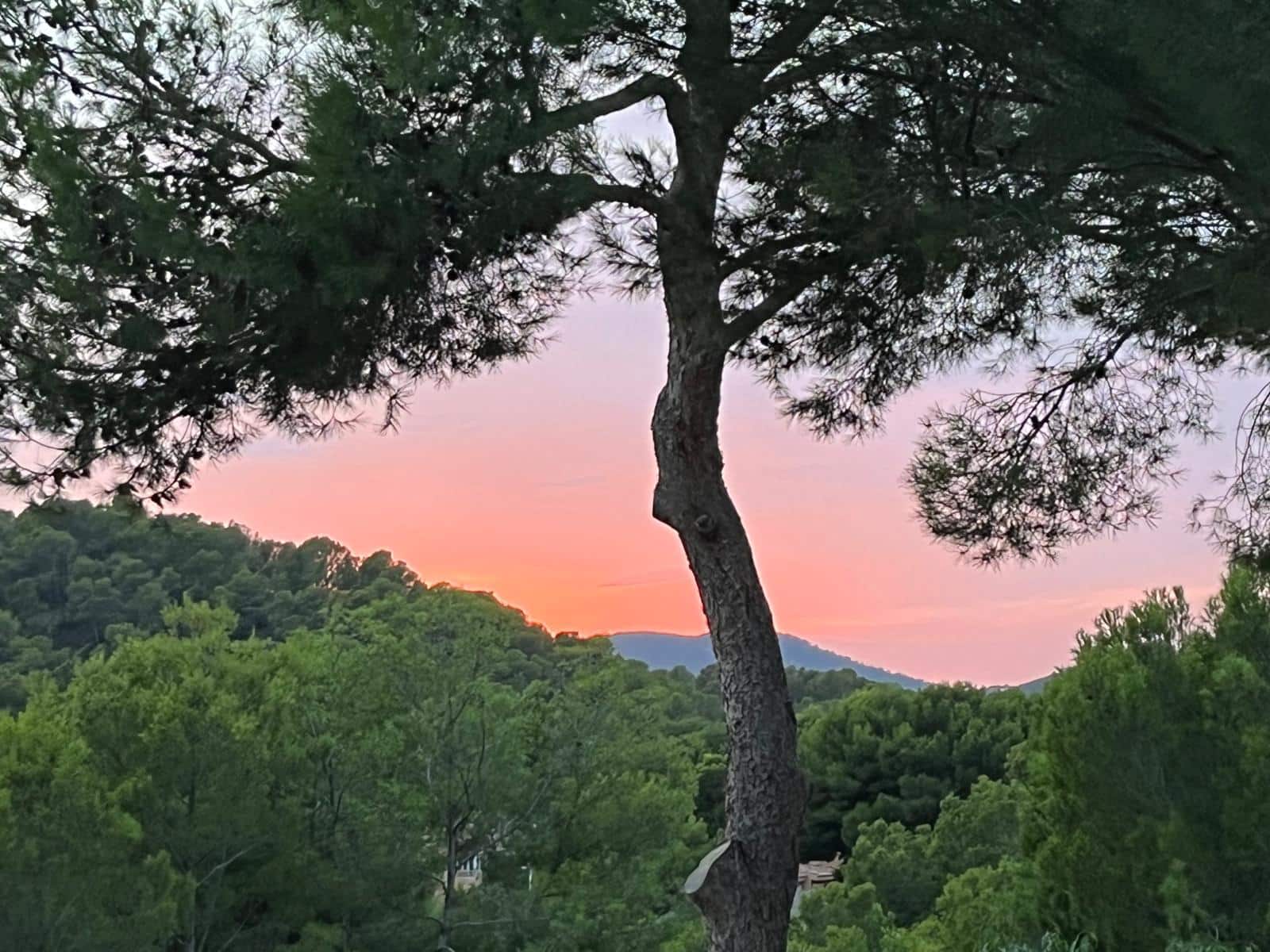 2 sypialnia Apartament na sprzedaż w Costa de la Calma z basenem - 645 000 € (Ref: 9572221)