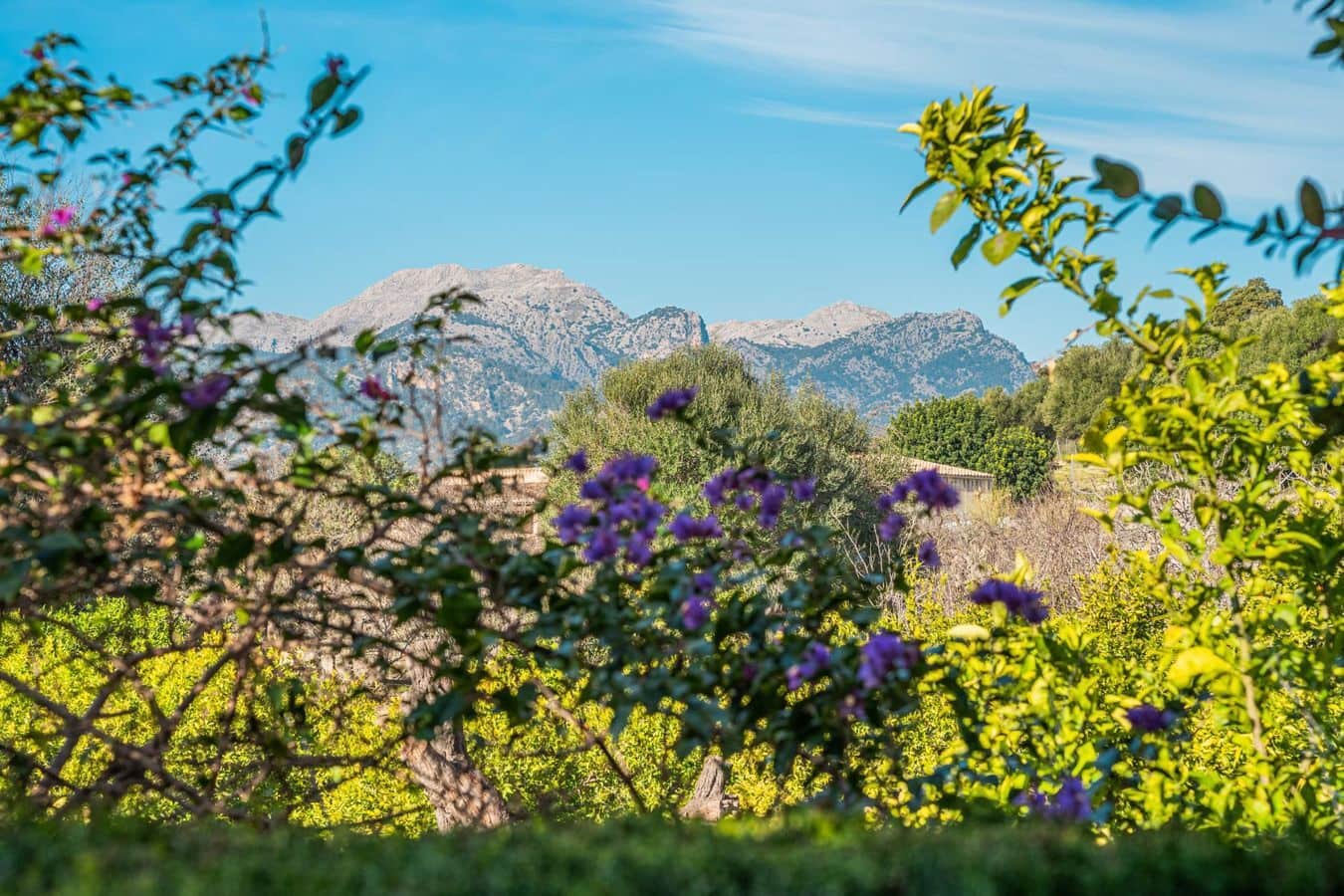 3 chambre Villa/Maison Semi-Mitoyenne à vendre à Campanet avec garage - 530 000 € (Ref: 9579148)