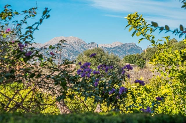 3 chambre Villa/Maison Semi-Mitoyenne à vendre à Campanet avec garage - 530 000 € (Ref: 9579148)