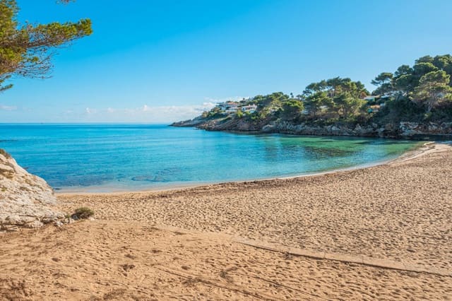 Teren niezagospodarowany na sprzedaż w Capdepera - 950 000 € (Ref: 9580052)