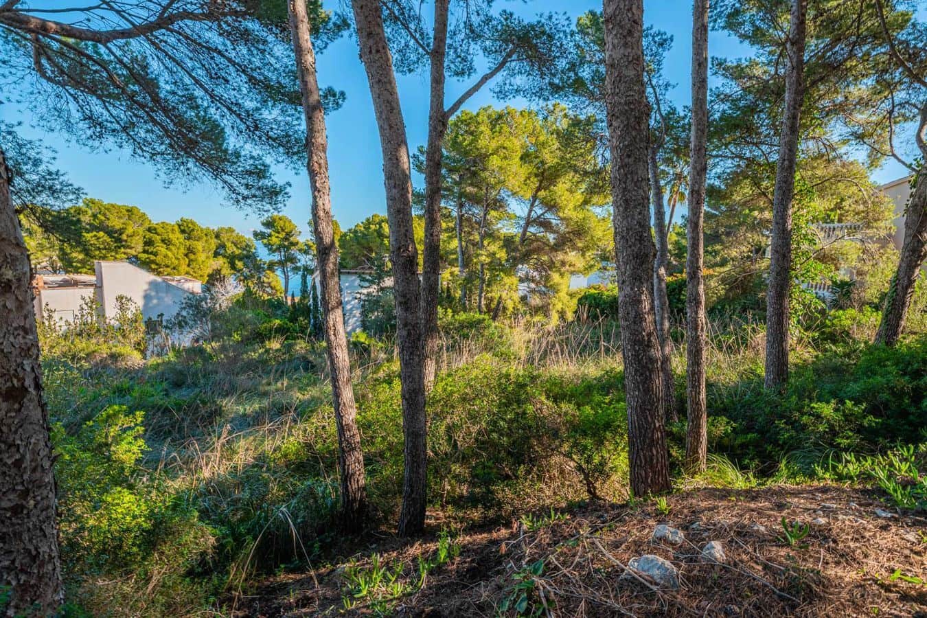 Teren niezagospodarowany na sprzedaż w Capdepera - 950 000 € (Ref: 9580052)