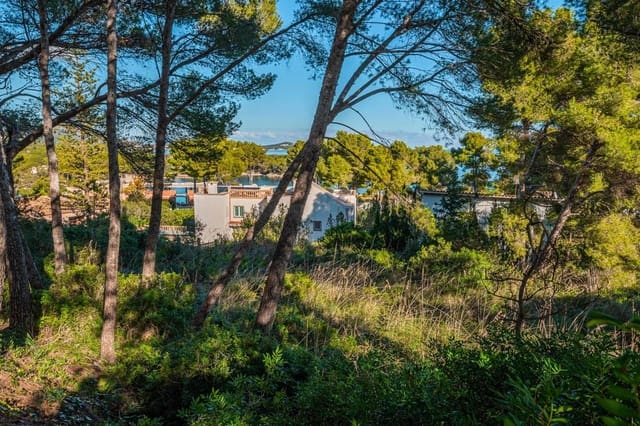 Teren niezagospodarowany na sprzedaż w Capdepera - 950 000 € (Ref: 9580052)