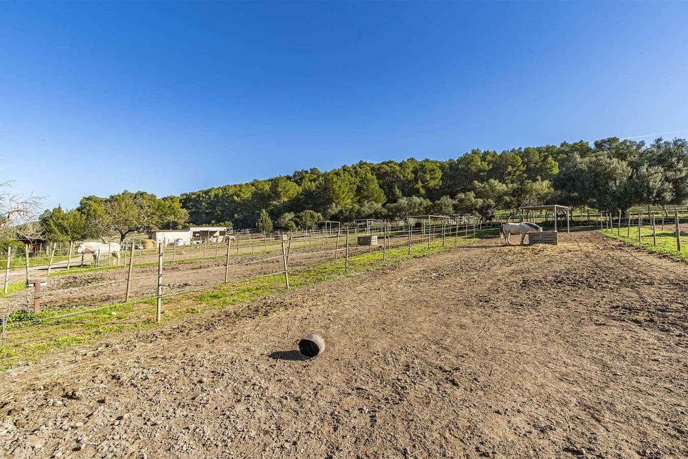 7 chambre Finca/Maison de Campagne à vendre à Montuiri avec piscine garage - 2 600 000 € (Ref: 9580054)