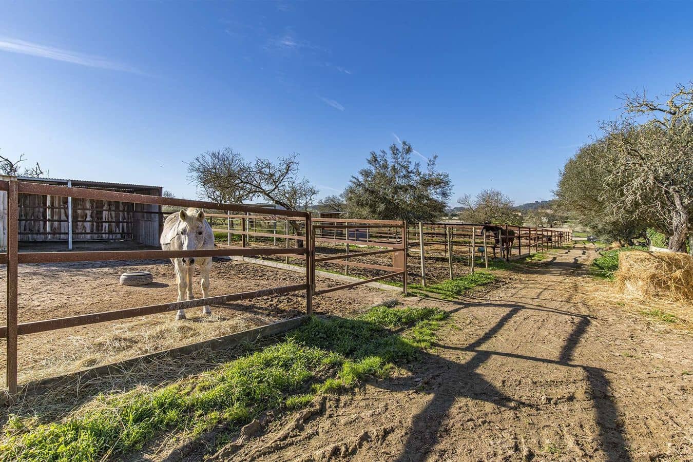 7 chambre Finca/Maison de Campagne à vendre à Montuiri avec piscine garage - 2 600 000 € (Ref: 9580054)