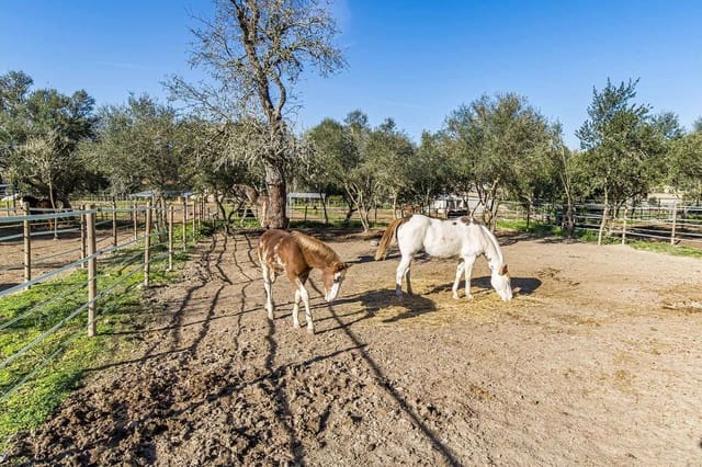 7 sypialnia Finka/Dom wiejski na sprzedaż w Montuïri z basenem garażem - 2 600 000 € (Ref: 9580054)