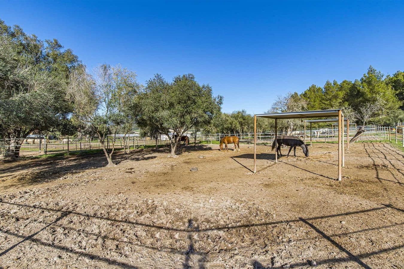 7 chambre Finca/Maison de Campagne à vendre à Montuiri avec piscine garage - 2 600 000 € (Ref: 9580054)