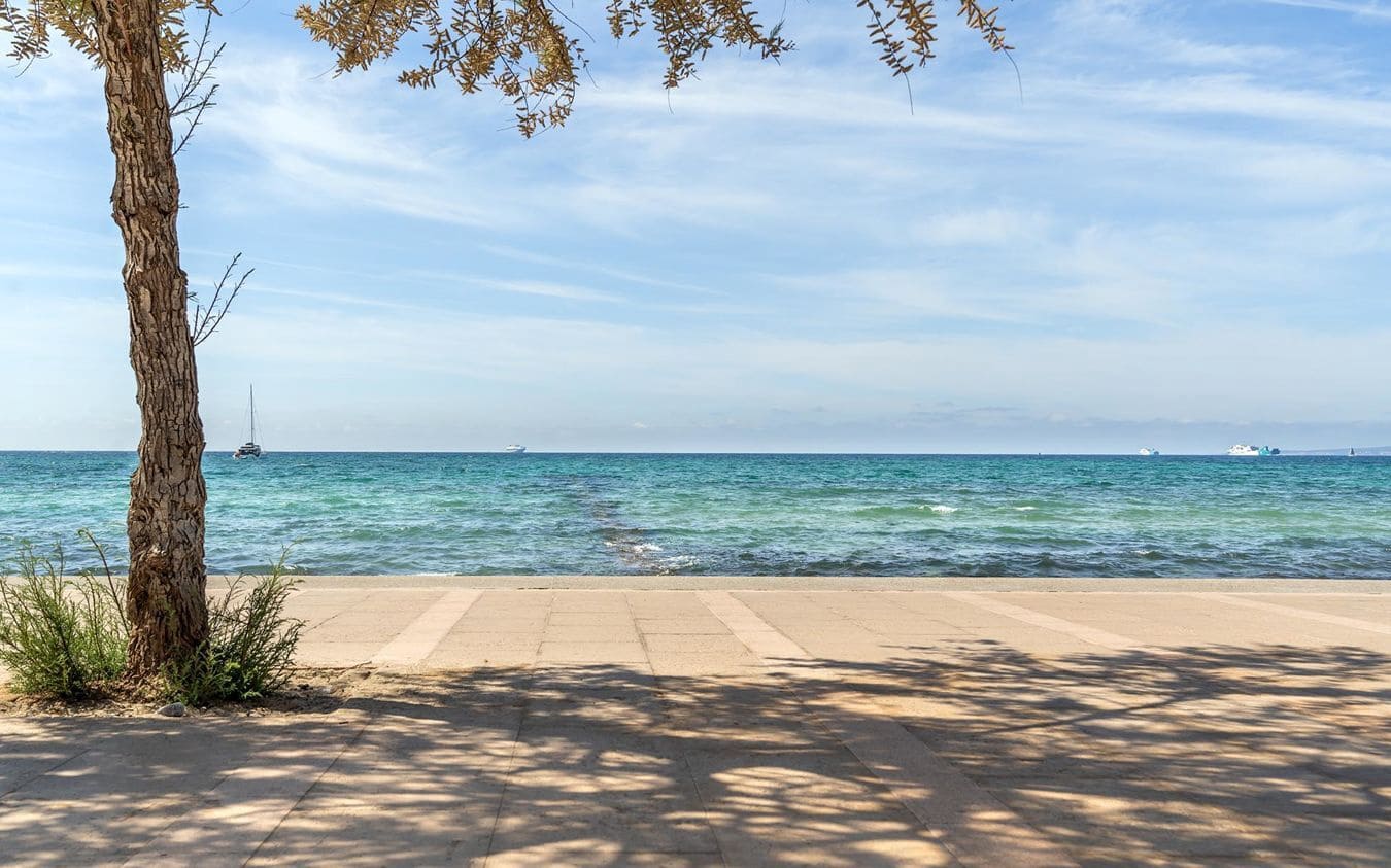 Terreno Não Urbanizado para venda em Es Molinar / El Molinar - 3 500 000 € (Ref: 9583500)