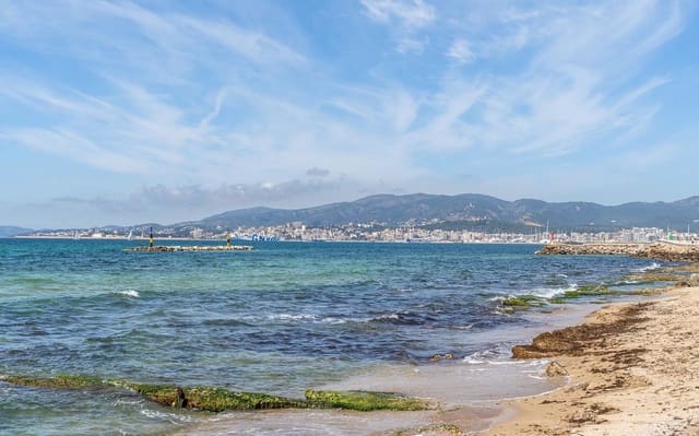 Terreno/Finca Rústica en Es Molinar / El Molinar, Palma de Mallorca en venta - 3.500.000 € (Ref: 9583500)