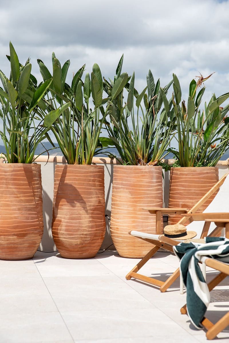 2 makuuhuone Kattohuoneisto myytävänä paikassa Palma de Mallorca mukana uima-altaan - 3 950 000 € (Ref: 9588140)