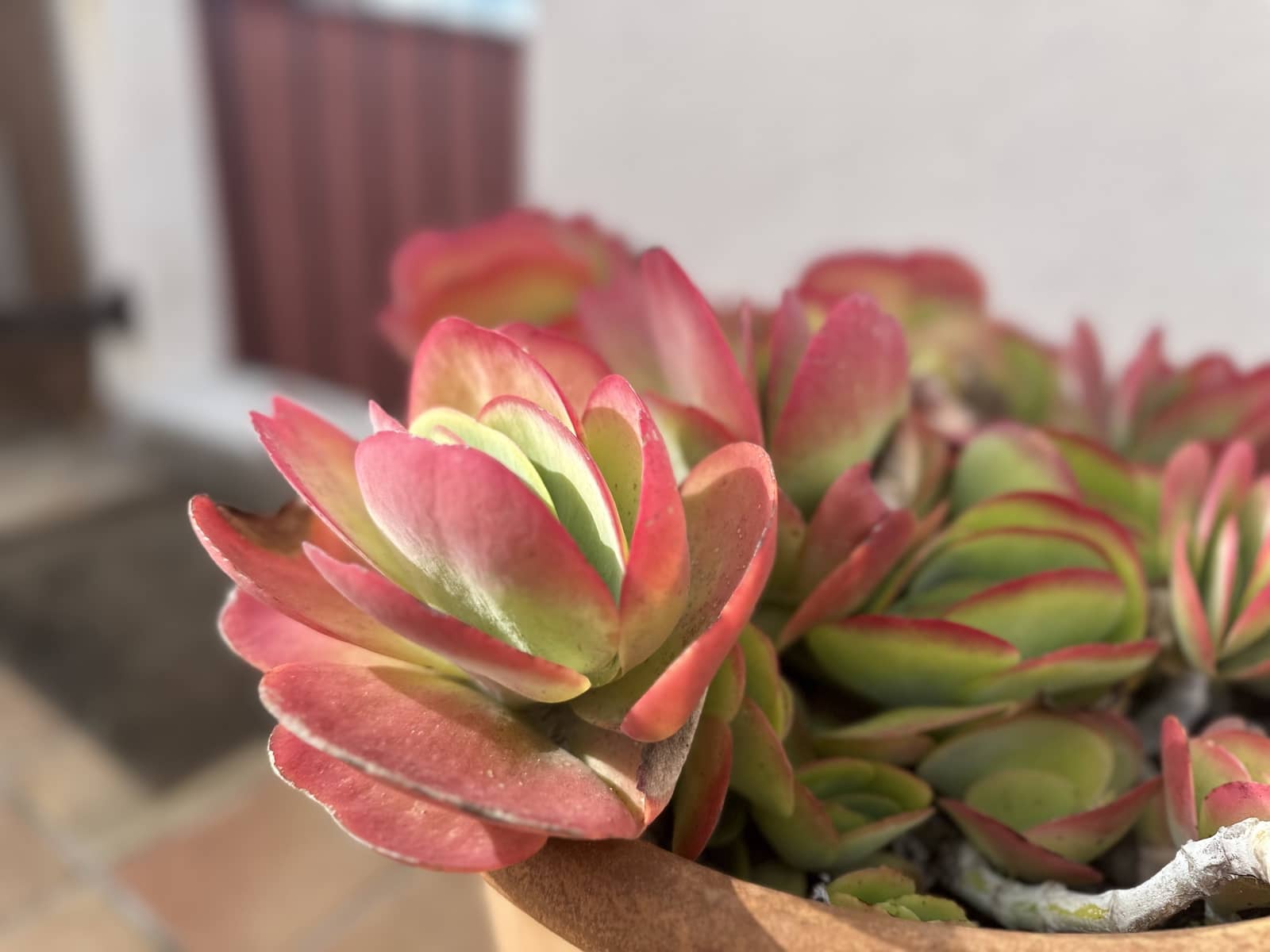 3 slaapkamer Penthouse te koop in Santa Ponsa met zwembad garage - € 1.640.000 (Ref: 9596881)