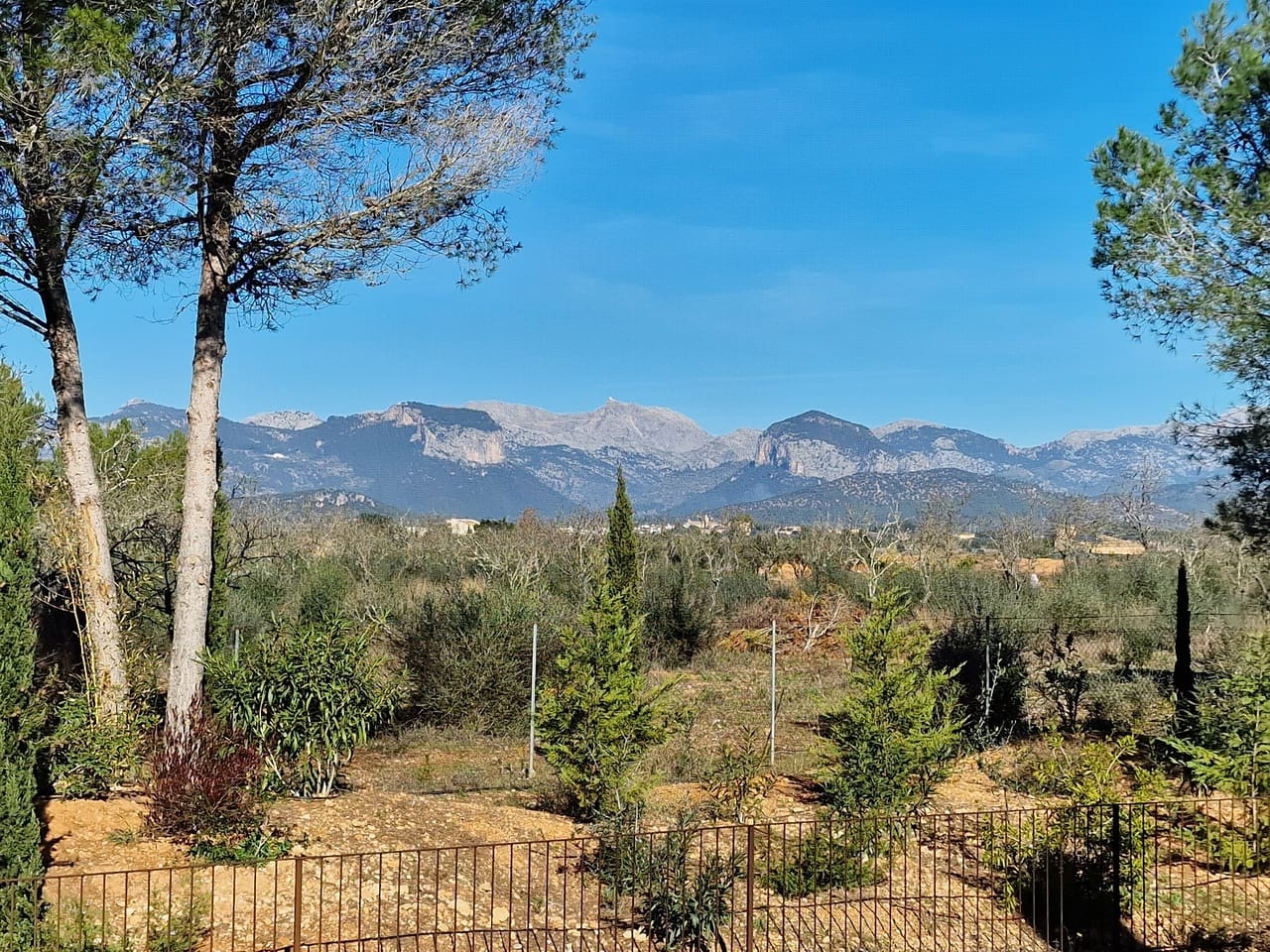 5 camera da letto Finca/Casa di Campagna in vendita in Santa Maria del Cami con piscina garage - 4.800.000 € (Rif: 9603325)