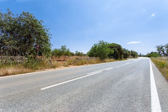 Terre non Aménagée à vendre à Felanitx - 700 000 € (Ref: 9609526)