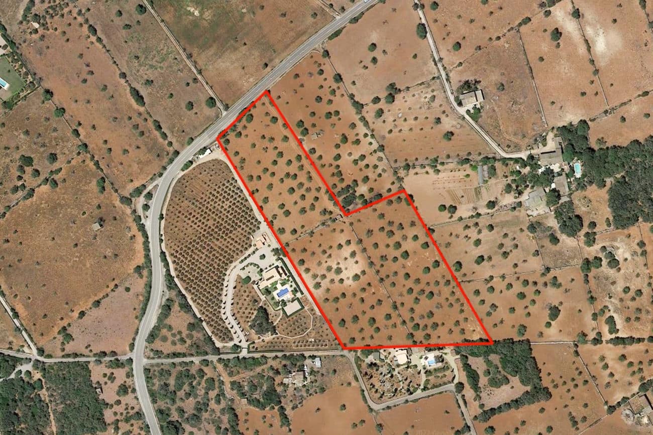 Terre non Aménagée à vendre à Felanitx - 700 000 € (Ref: 9609526)