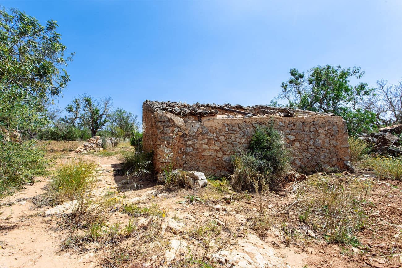 Terre non Aménagée à vendre à Felanitx - 700 000 € (Ref: 9609526)