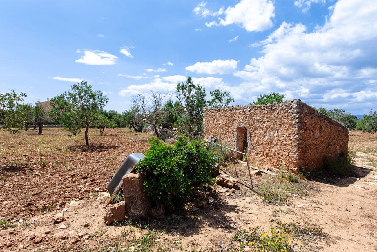 Terre non Aménagée à vendre à Felanitx - 700 000 € (Ref: 9609526)