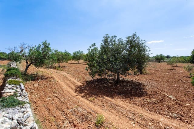 Terre non Aménagée à vendre à Felanitx - 700 000 € (Ref: 9609526)