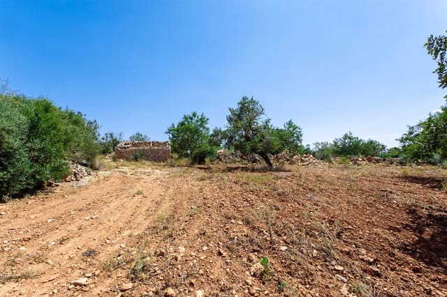 Terre non Aménagée à vendre à Felanitx - 700 000 € (Ref: 9609526)