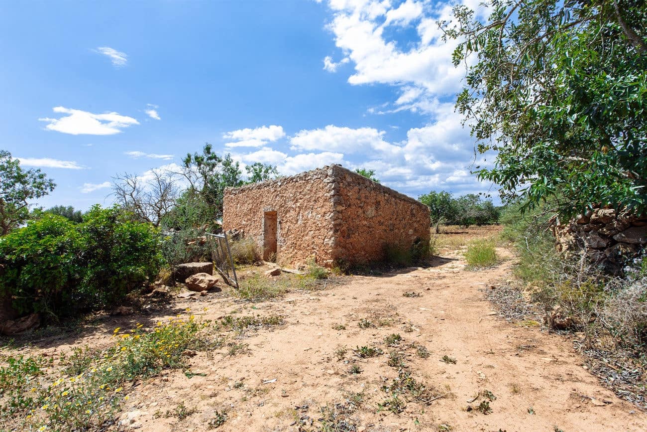 Terre non Aménagée à vendre à Felanitx - 700 000 € (Ref: 9609526)