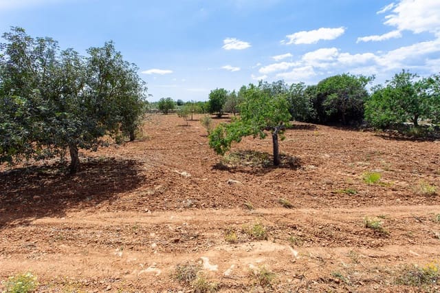 Terre non Aménagée à vendre à Felanitx - 700 000 € (Ref: 9609526)