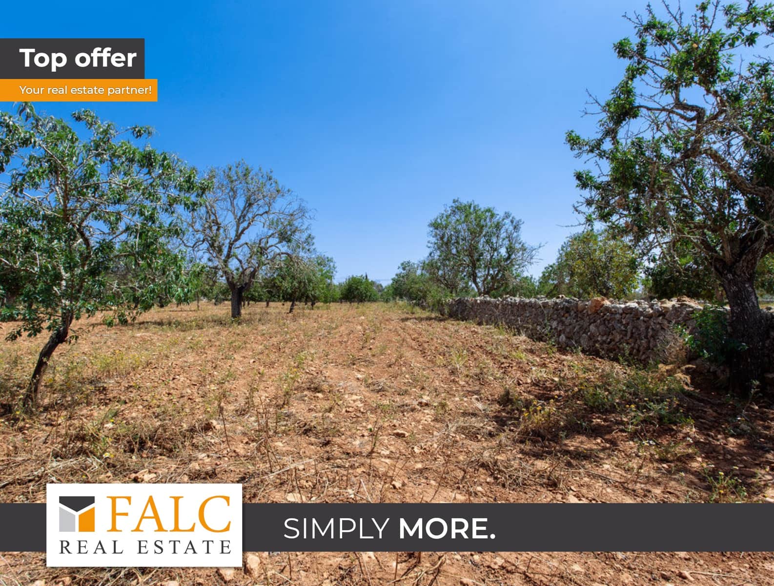 Terre non Aménagée à vendre à Felanitx - 700 000 € (Ref: 9609526)